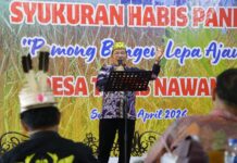 Panen Raya Teras Nawang, Jadi Bukti Penguatan Ketahanan Pangan Kaltara