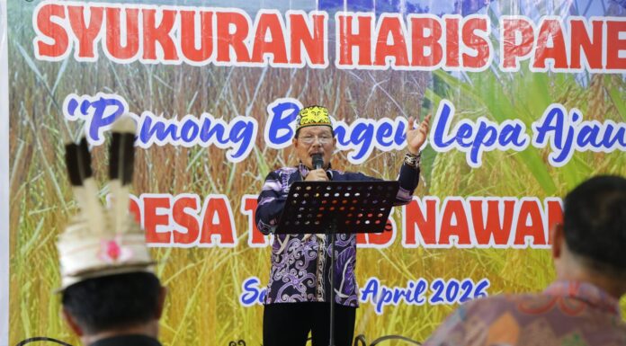 Panen Raya Teras Nawang, Jadi Bukti Penguatan Ketahanan Pangan Kaltara