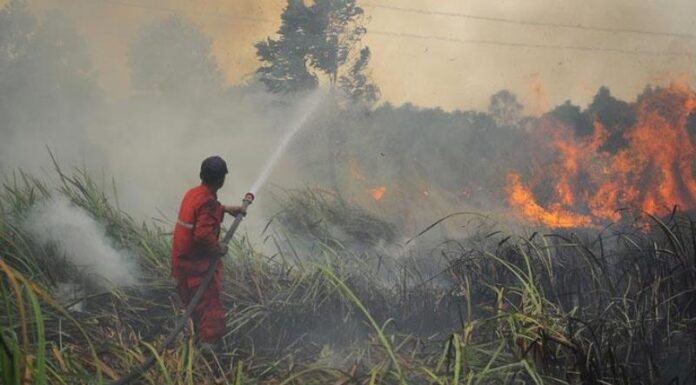 Juli-September Masuk Zona Waspada, Kaltara Siagakan Pasukan Cegah Karhutla
