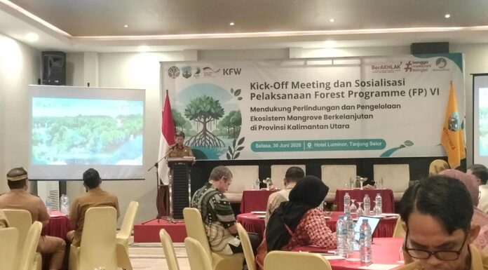 Benteng Hijau Kaltara: Kaltara dan Jerman Kolaborasi Selamatkan Mangrove dari Ancaman Abrasi