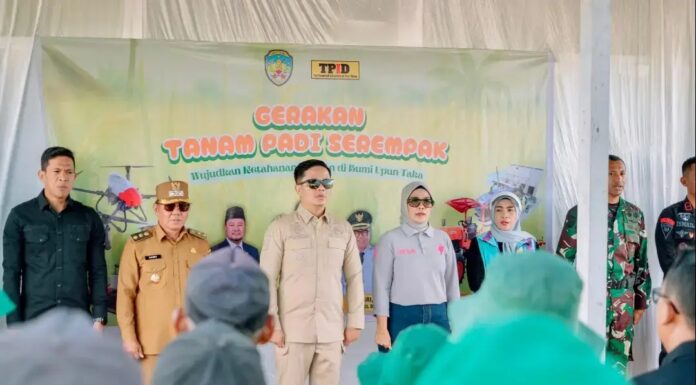 Pemkab Tana Tidung Perkuat Ketahanan Pangan Melalui Gerakan Tanam Padi Serempak